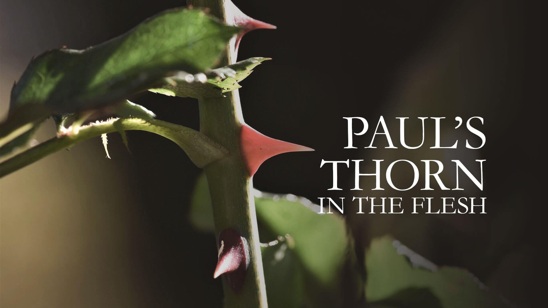 PAUL’S THORN IN THE FLESH