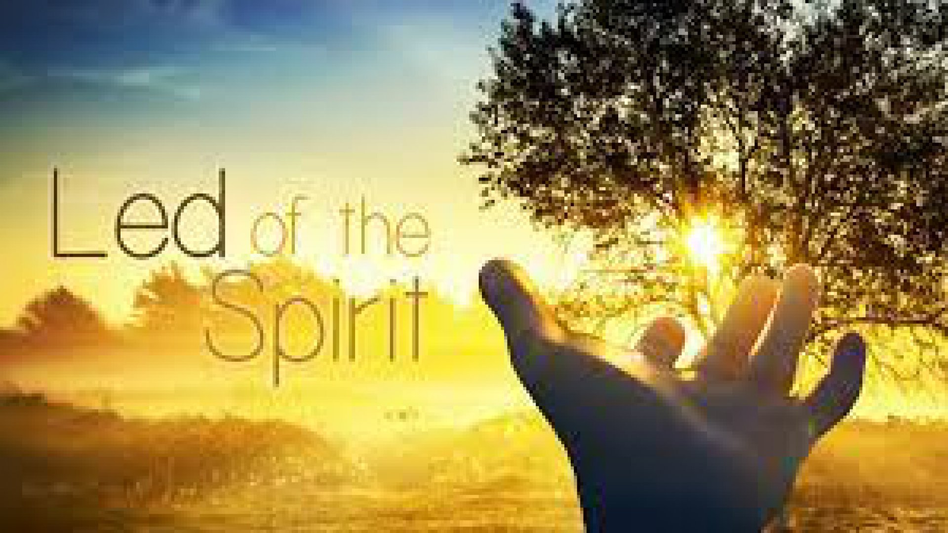 LED BY THE SPIRIT