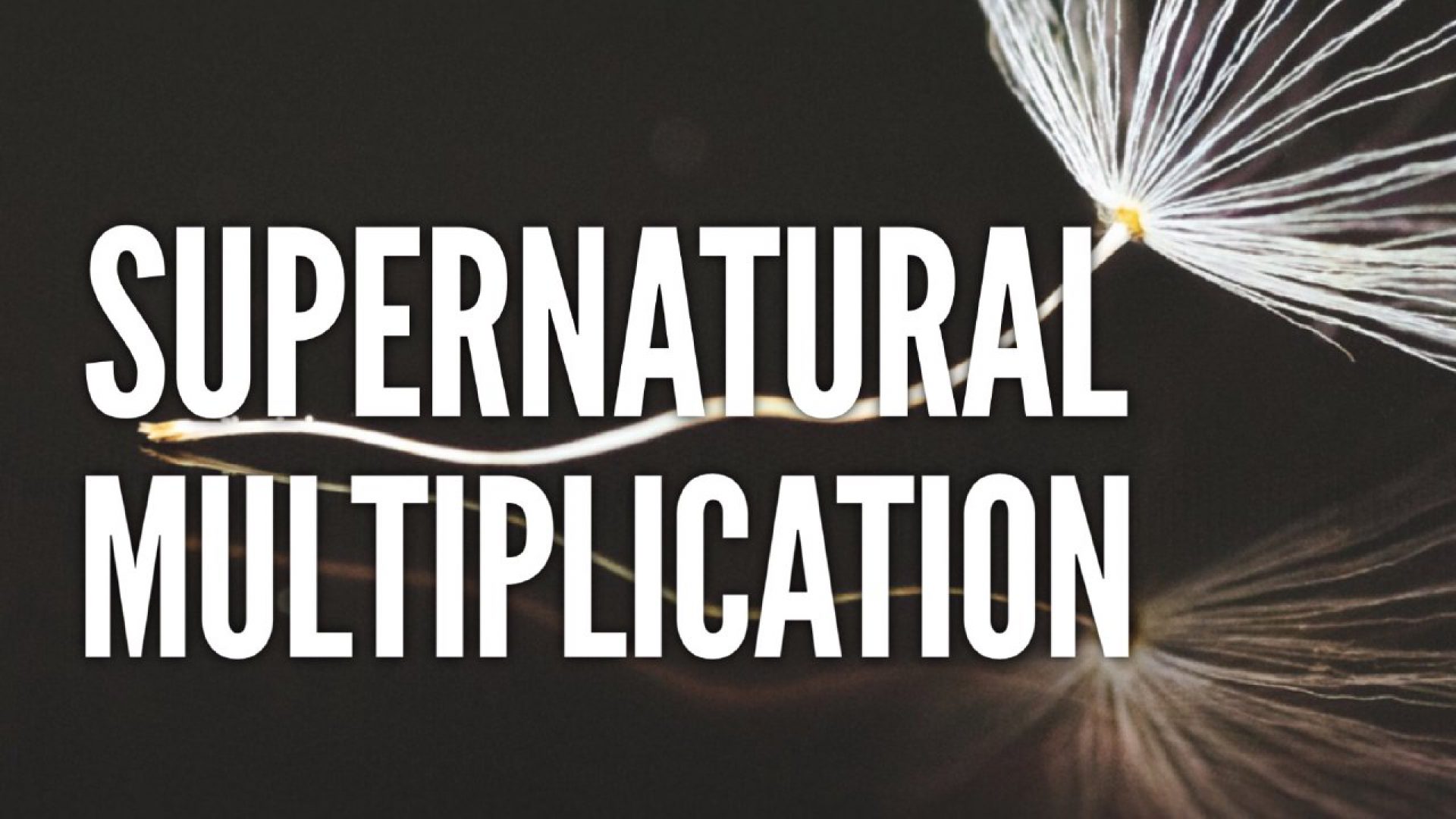 Supernatural Multiplication