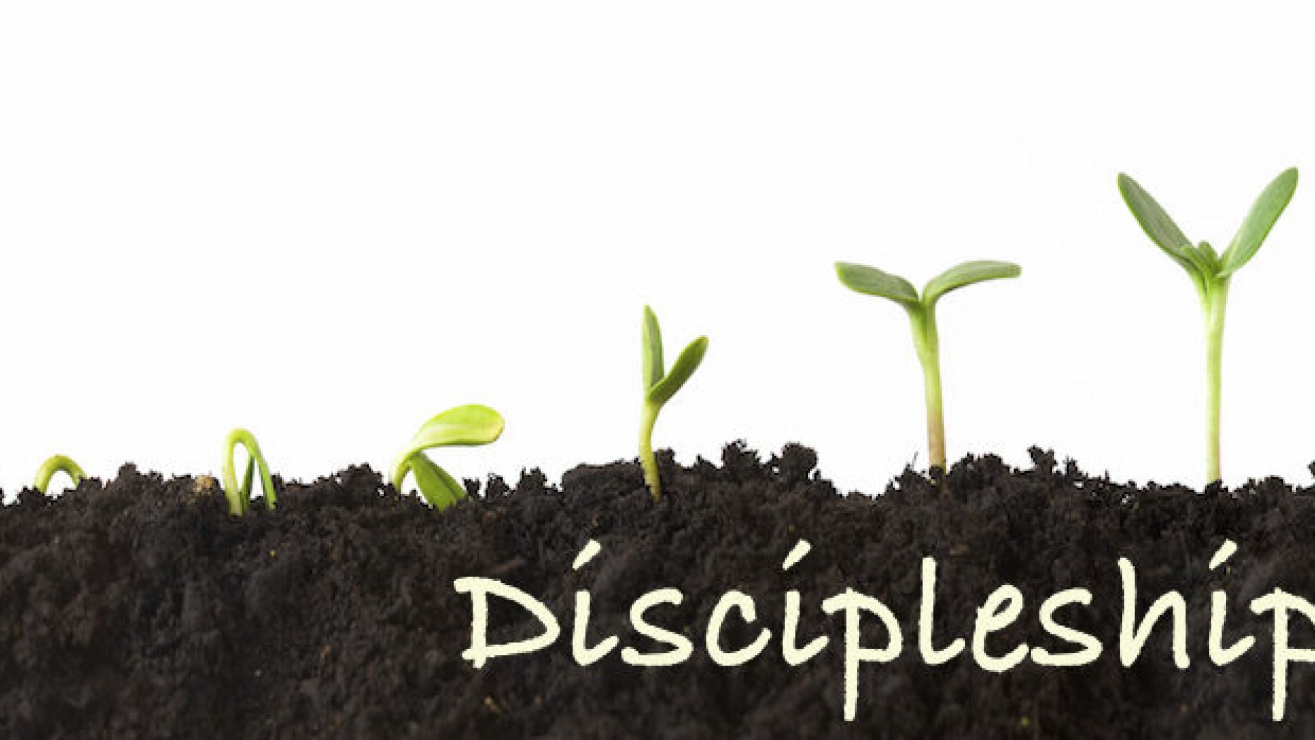 DISCIPLESHIP