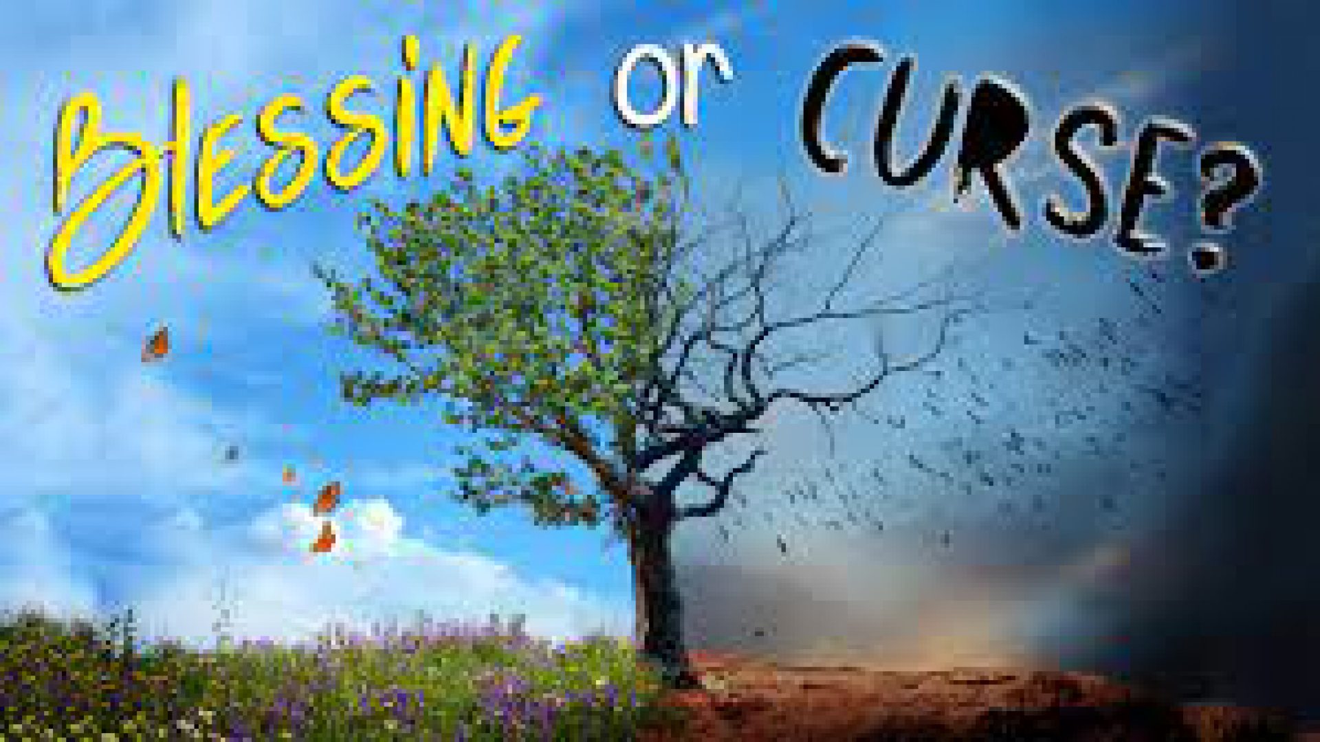BLESSING OR CURSING?