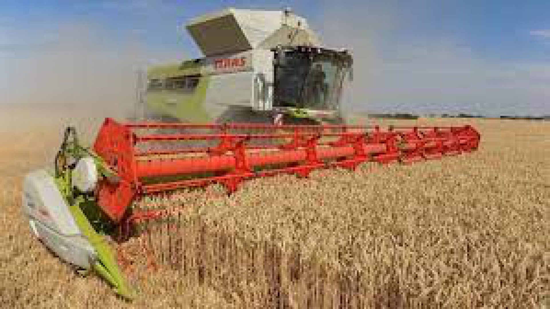 Reaping  A Mega Harvest