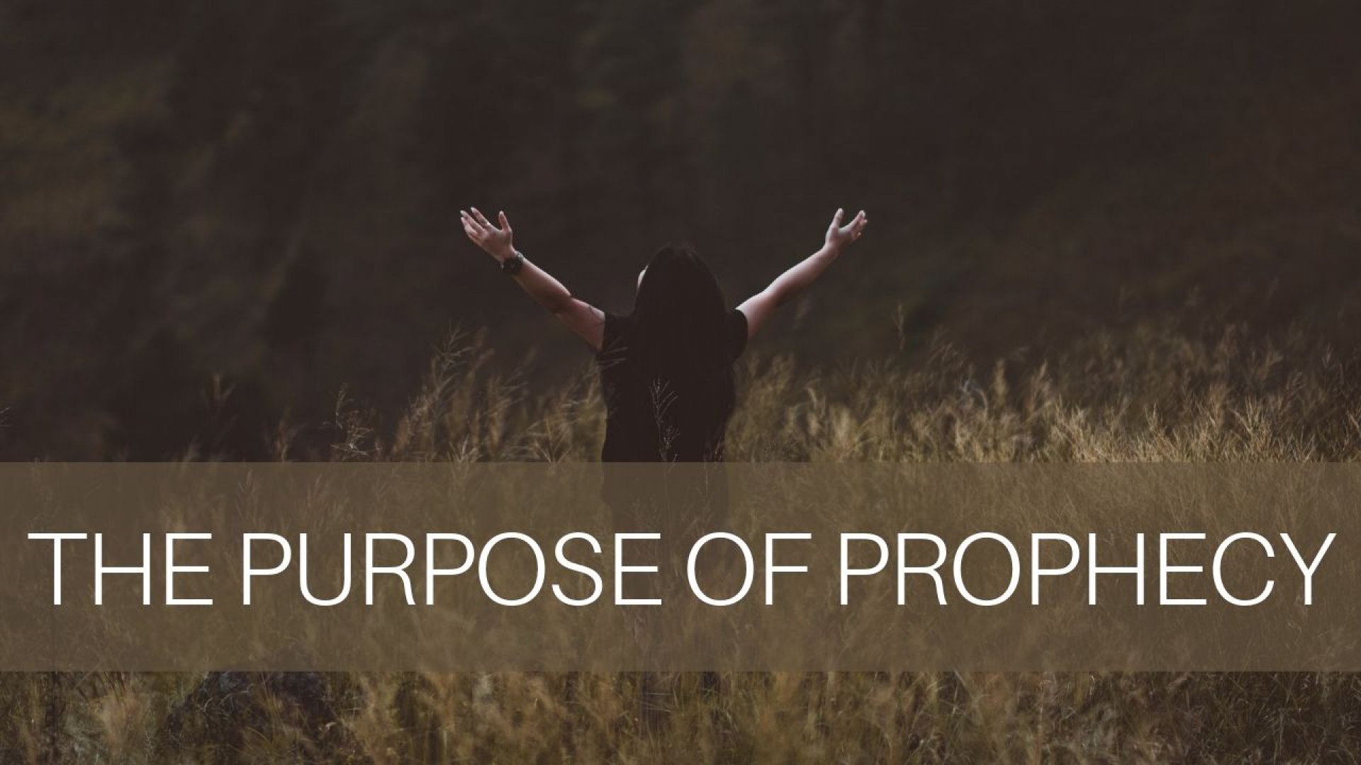 THE PURPOSE OF PROPHECY