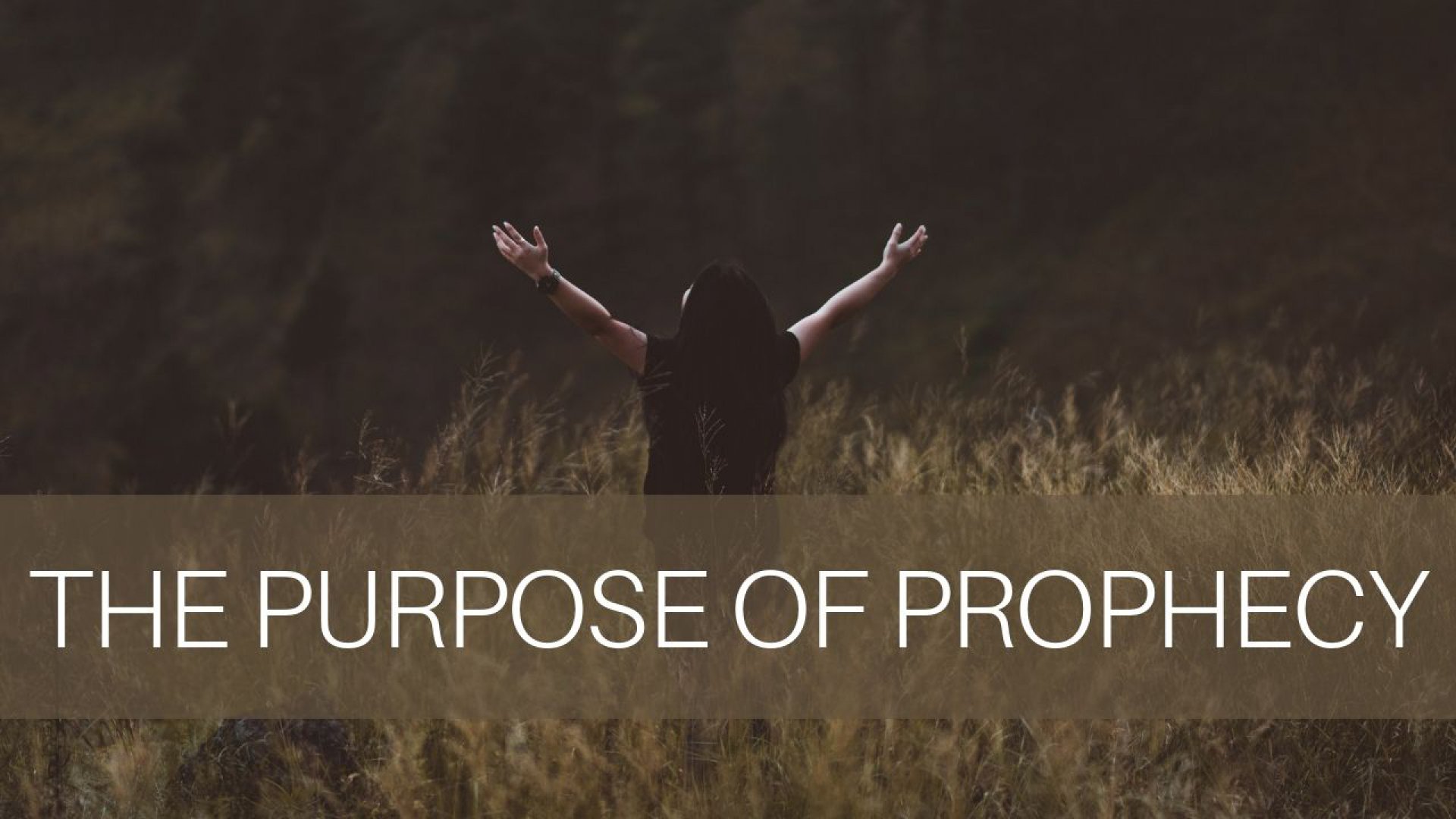 The Purpose Of Prophecy