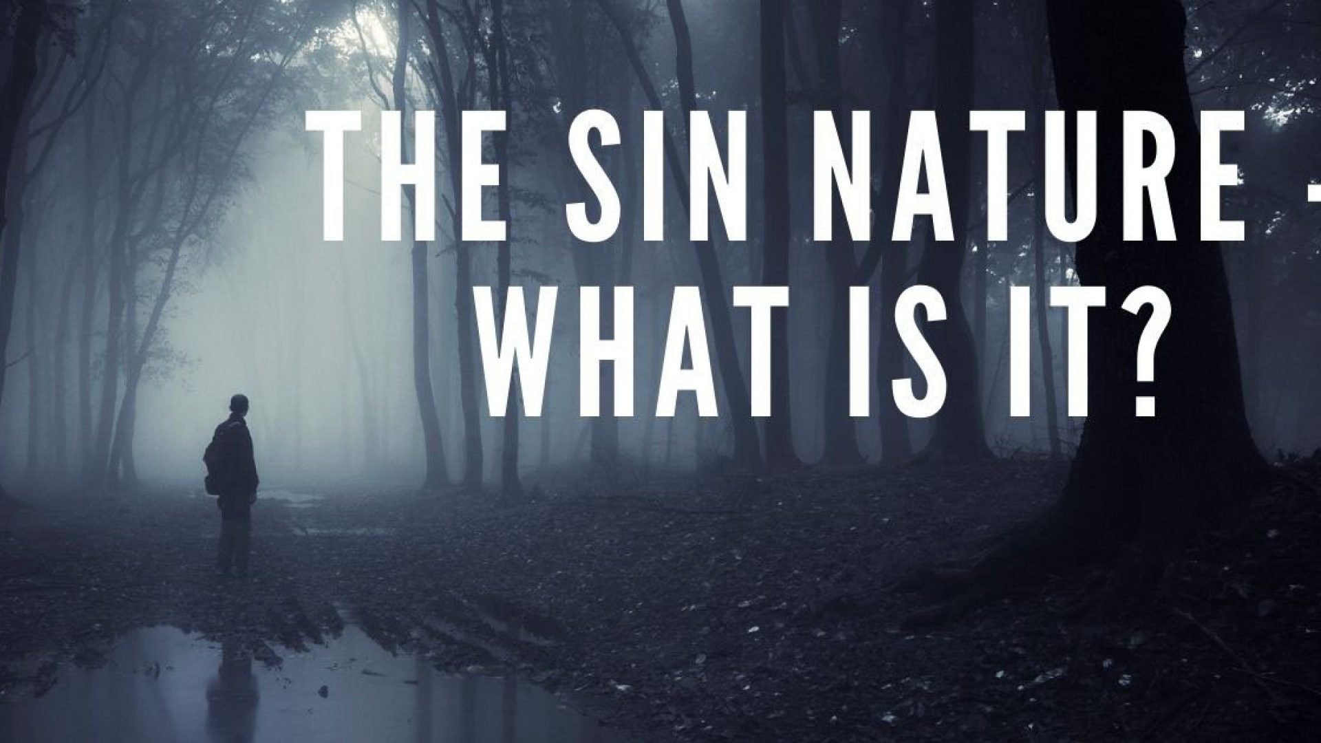 Nature Of Man’s Sin